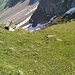 Auf-/Abstiegsvariante