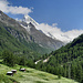 A Sepéc, dernier regard sur la Dent Blanche.