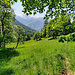 Ancien sentier passant par les hauts de Lièfran.