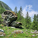 La Balme, vue arrière. 