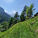 Ancien sentier passant par les hauts de Lièfran.