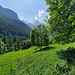 Ancien sentier passant par les hauts de Lièfran.