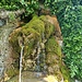 Köstliches Wasser vom moosigen Stein - Fläscherbad
