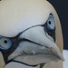 Blickkontakt