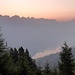 Schlangenplanggen, warten auf die Sonne