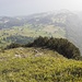 Tiefblick von der Homatt
