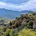 Morosaglia