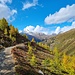Panoramaweg: von der Alp Languard zu Muottas Muragl (mit Kind)
