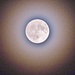 alone di luna da inquinamento dell'aria
bioggio 10 06 2025
