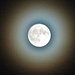 alone di luna da inquinamento dell'aria
bioggio 10 06 2025
