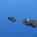 Das "obligate" Foto der Isole di Brissago, der tiefste Punkt der Schweiz