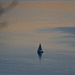 Segelschiff auf dem Lago Maggiore