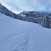 Spur im Schnee