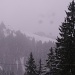 Die Sameralm im Schneetreiben - hinter der Alm geht auch ein Steig auf die Baumoosalm und zum Gipfel des Kalksteins