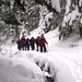 Brüeltobel - Wackerer Schneeschuhtrupp im Schneegestöber