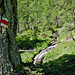 Ein Wildromantisches Tal: Val Piomogna.