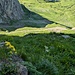Rückblick von oben bei den ersten Felsen