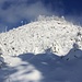 Blick vom Forstweg auf den Gipfel des Le Petit Donon (961m). Am 26.12.1999 mähte der Jahhundertsturm Lothar ausser im Gipfelbereich den ganzen Wald auf der Westseite des Hügels nieder!