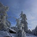 Kunstwerk aus Frost an den Bäumen die rund um den Gipfelfelsen des Le Petit Donon (961m) stehen.