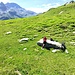 <b>Eccomi di nuovo sul terrazzo dove ho lasciato la bici.</b>