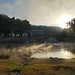 Nebel auf der Elbe 