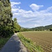 sulla pista ciclopedonale dopo Laveno