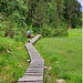 Scendendo da Maloja