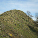 Plešivec (Plöscheberg/Plösche Berg/Plöschen/Plöschen Berg/Plöschen bei Netluk/Rutscheberg)
