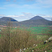 Blick zum Berg Milešovka (Milleschauer)