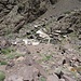 Sidi Chamarouch