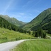 Blick auf der Fahrt in den weitläufigen Eselsberggraben hinein