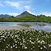 Wunderschöne Bergseen im Sommer