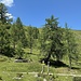 Hier ist etwas versteckt bereits die Wiesenspitze erkennbar.