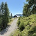 Das Hochstadelhaus liess ich links liegen. 