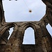 Kloster Oybin