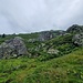 Klettergarten Widerstein, derzeit insgesamt 157 eingerichtete Routen an 18 hausgrossen Felsblöcken