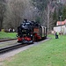 Oybin, einfahrender Dampfzug mit Lokomotive der Baureihe DR 99.73-76
