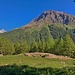 alpe Zocche