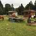 Bison-Ranch, Les Colisses