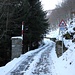 La strada privata per l'Alpe della Bolla.