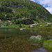 Schönes Wollgras am Lago inferiore