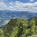 Schon wieder auf dem Rückweg, folge ich der hier schemenhaft links neben der Tanne im Vordergrund erkennbaren Wildspur auf den kecken von Legfören umzingelten Gupf.