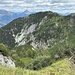 Hier steige ich auf dem Grasgrat einer Wildspur folgen ab, und hier im Bild gleich in Bildmitte unten in die Baumansammlung - der Wildspur folgend hinab.
