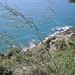 Vista dall'area picnic vicino all'orto botanico alla Punta degli Apicchi (m 250 s.l.m.)