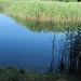 stiller Weiher in stillem Tal