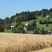 Oberhalb von Unterschlatt, wo ich in wenigen Minuten meinen Fotoapparat liegenlasse und mich auf den Weg nach Oberschlatt mache.