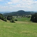 Wiesen und Wälder