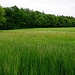 Rückweg
