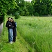 am Zaun entlang