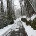 Appena partito da Rezzago in direzione Enco; qui la strada è stata sgombrata dalla neve.